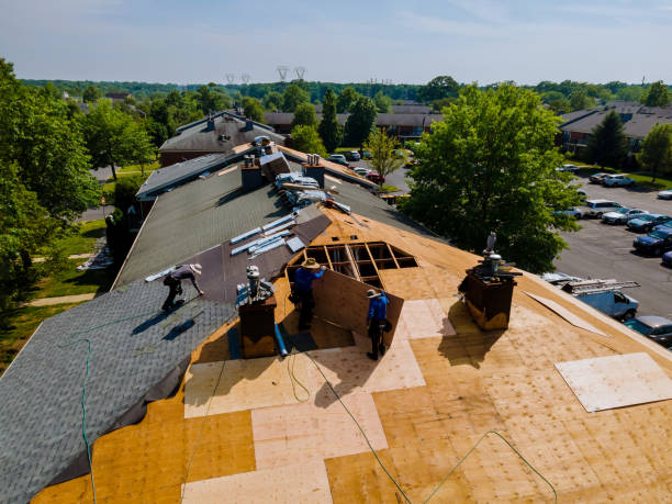 Trusted Roof Replacement service in Collinsville, VA - Brentwood Metal Roofing